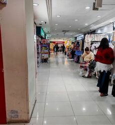 Lucky Plaza (D9), Shop House #594987221